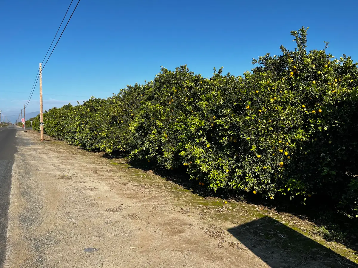 124 Road, Woodlake, CA 93286 - Image #1