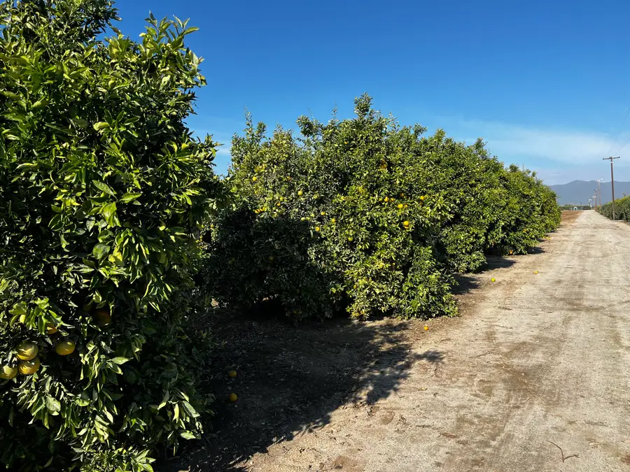 W Cajon Avenue, Woodlake, CA 93286 - Image #3