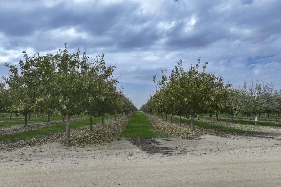 0 Ave. 80, Pixley, CA 93256 - Image #3