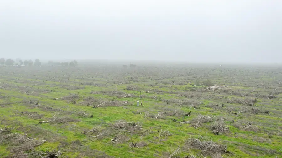 Road 208, Porterville, CA 93257 - Image #3