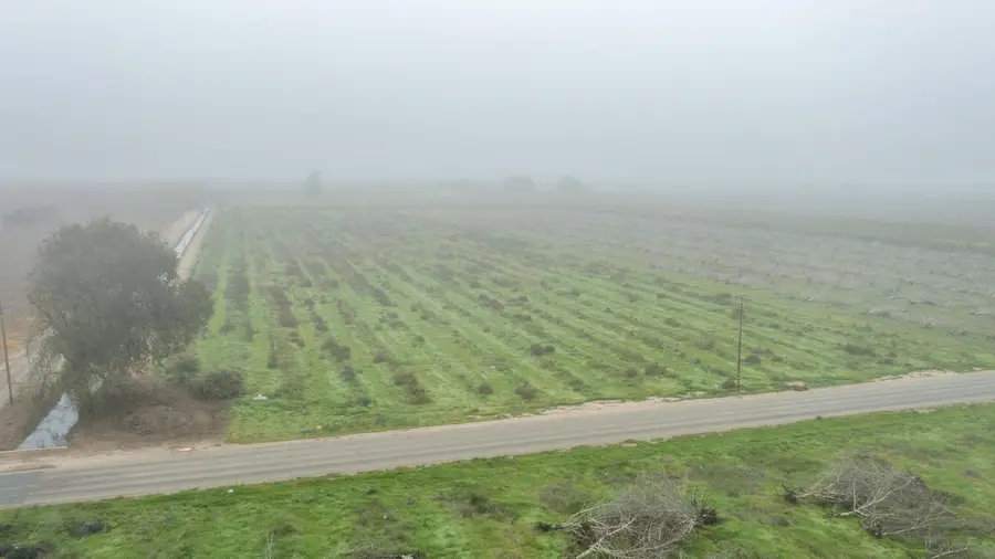 Road 208, Porterville, CA 93257 - Image #3