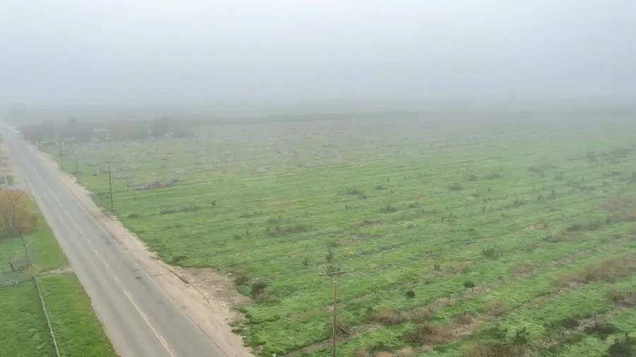 Road 208, Porterville, CA 93257 - Image #3