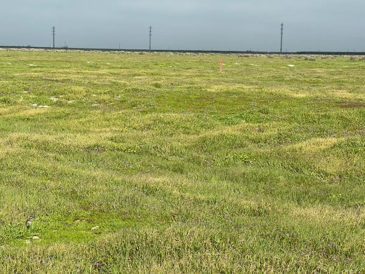 Lot #163 Track #1226, Wasco, CA 93280 - #1