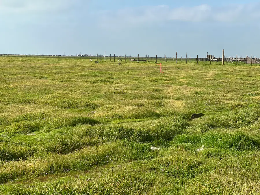 Lot #163 Track #1226, Wasco, CA 93280 - #2