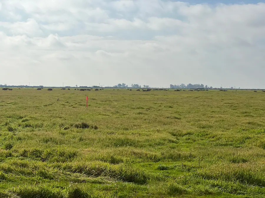 Lot #163 Track #1226, Wasco, CA 93280 - #3