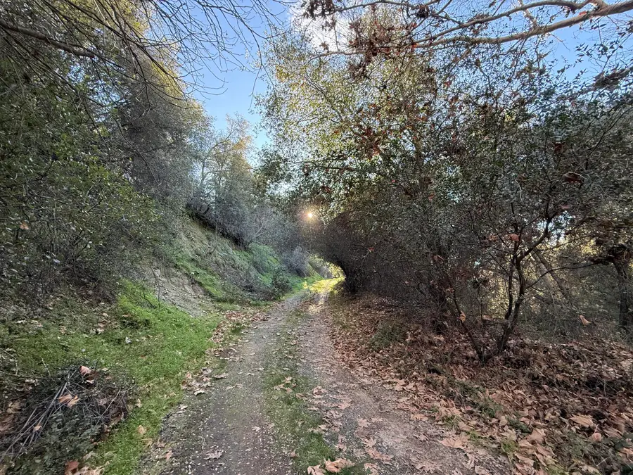 41505 M-56 Ca Hot Springs Dr., California Hot Springs, CA 93207 - #2