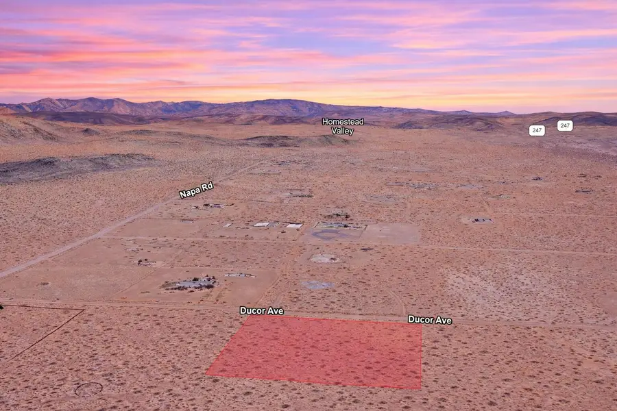 Ducor Avenue, Landers, CA 92285 - #2