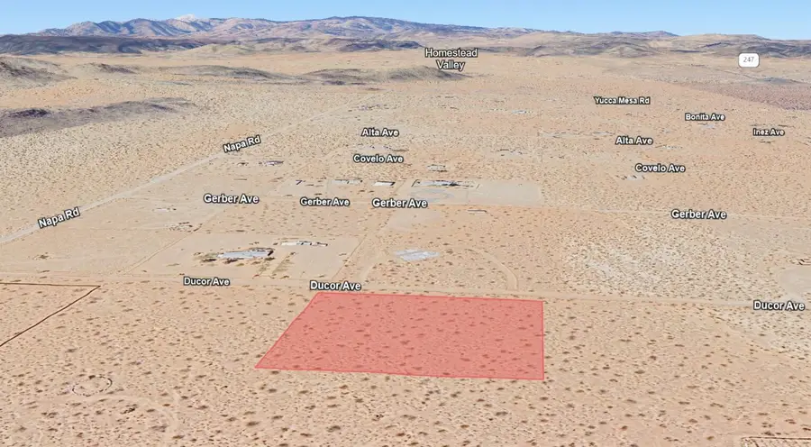 Ducor Avenue, Landers, CA 92285 - #3