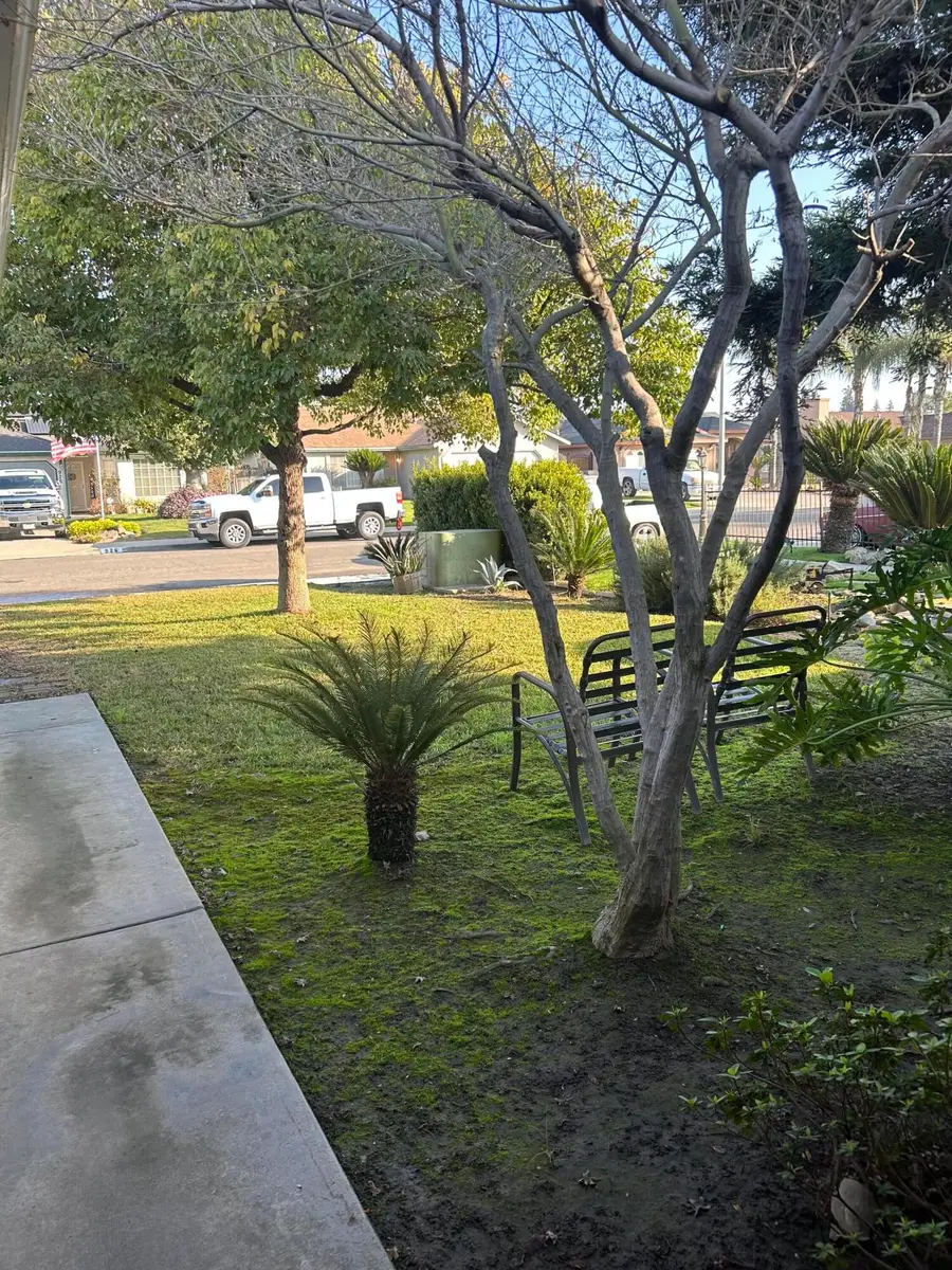 925 W Petunia Street, Farmersville, CA 93223 - #2