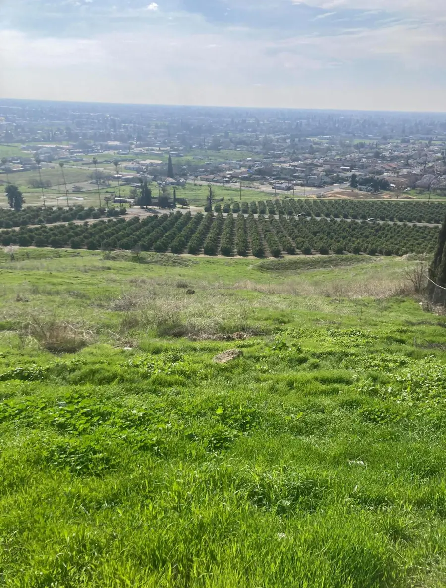 1465 N Highland Drive, Porterville, CA 93257 - #3