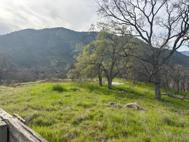 Buckhorn Trail, Three Rivers, CA 93271 - #2