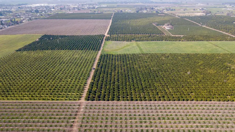 Ave 100/rd 244, Terra Bella, CA 93270 - #2