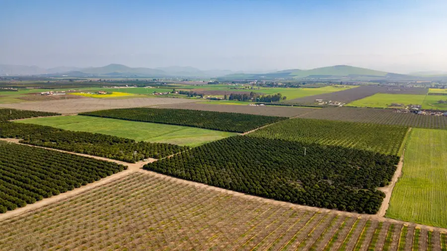 Ave 100/rd 244, Terra Bella, CA 93270 - #3