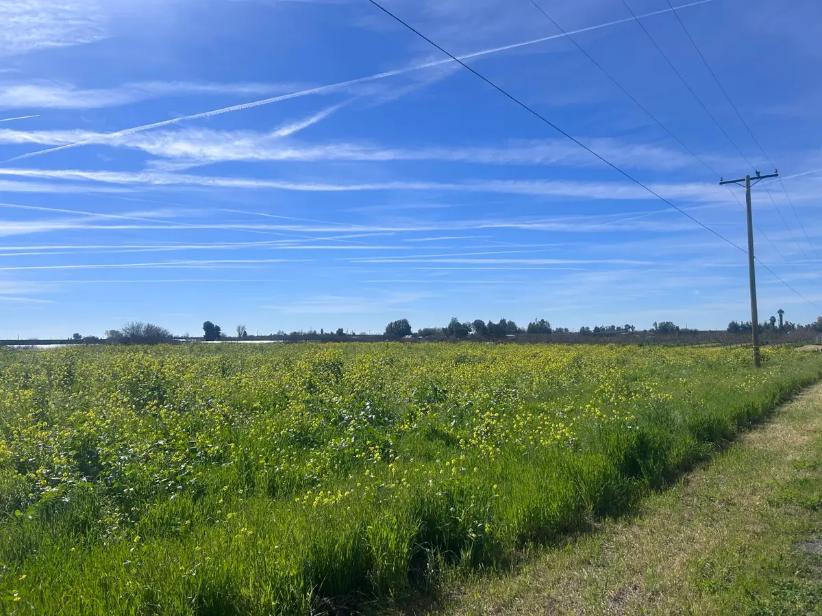 0 SE Avenue 88 Avenue Se, Terra Bella, CA 93270 - #1