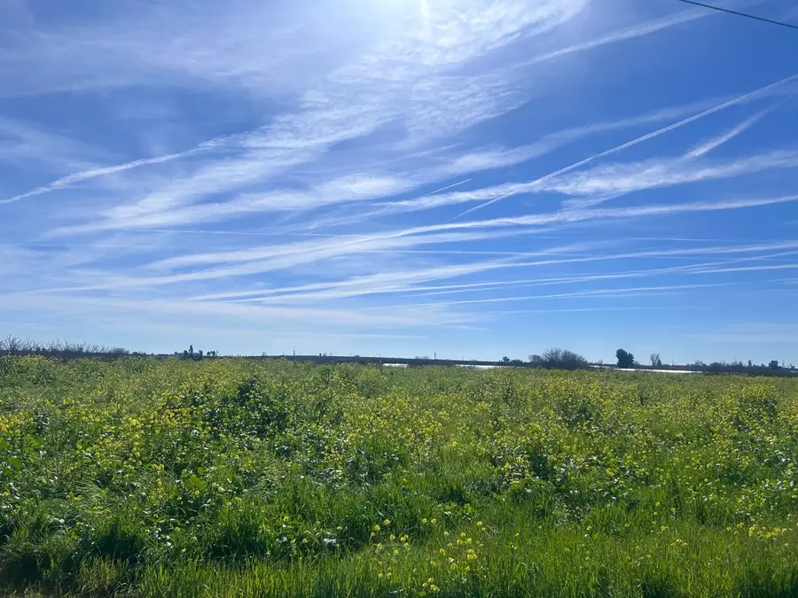 0 SE Avenue 88 Avenue Se, Terra Bella, CA 93270 - #3