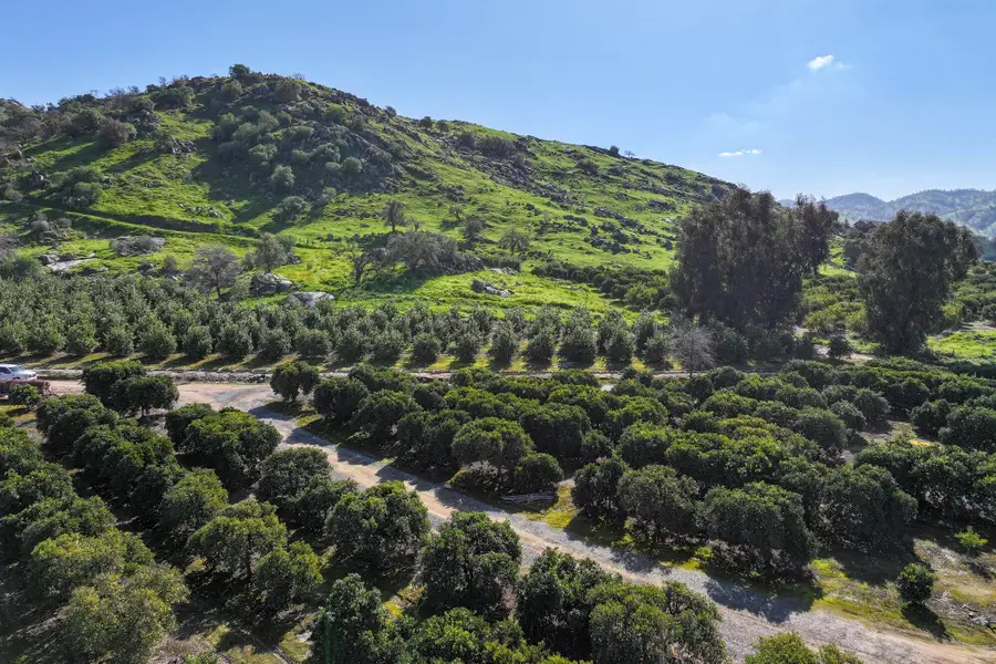 32204 Rd 248, Lemon Cove, CA 93244 - #3