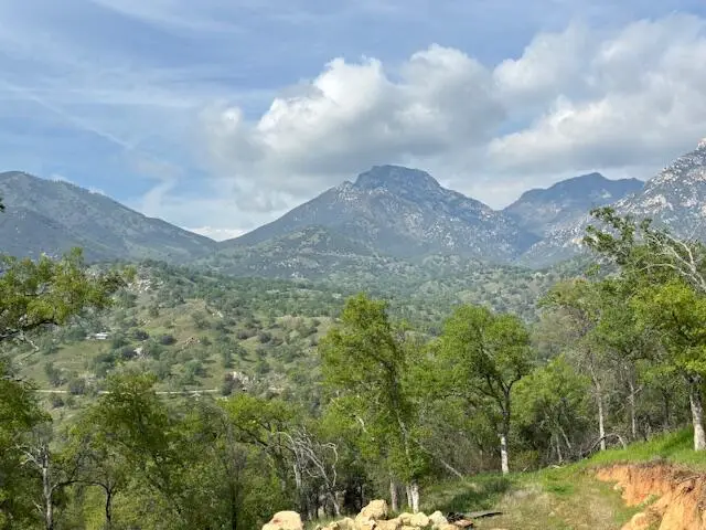 Mineral King Road, Three Rivers, CA 93271 - #1