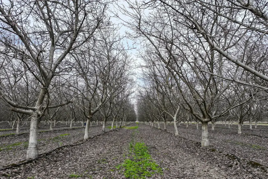 0 Road 138, Visalia, CA 93292 - #3