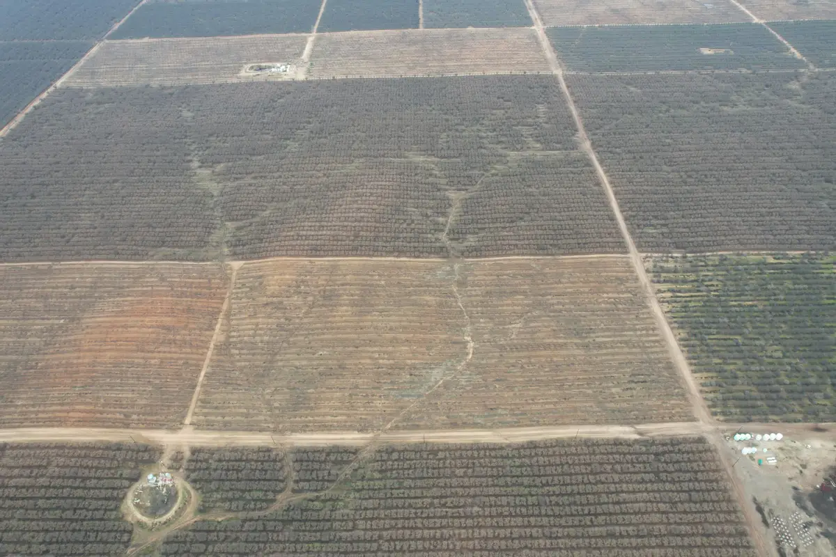 Avenue 20, Madera, CA 93638 - #1