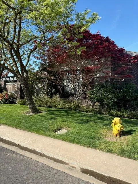 725 N Silvervale Drive, Visalia, CA 93292 - #1