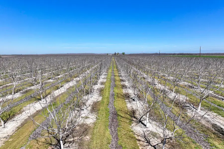 91 E Harlan Avenue, Laton, CA 93242 - #3