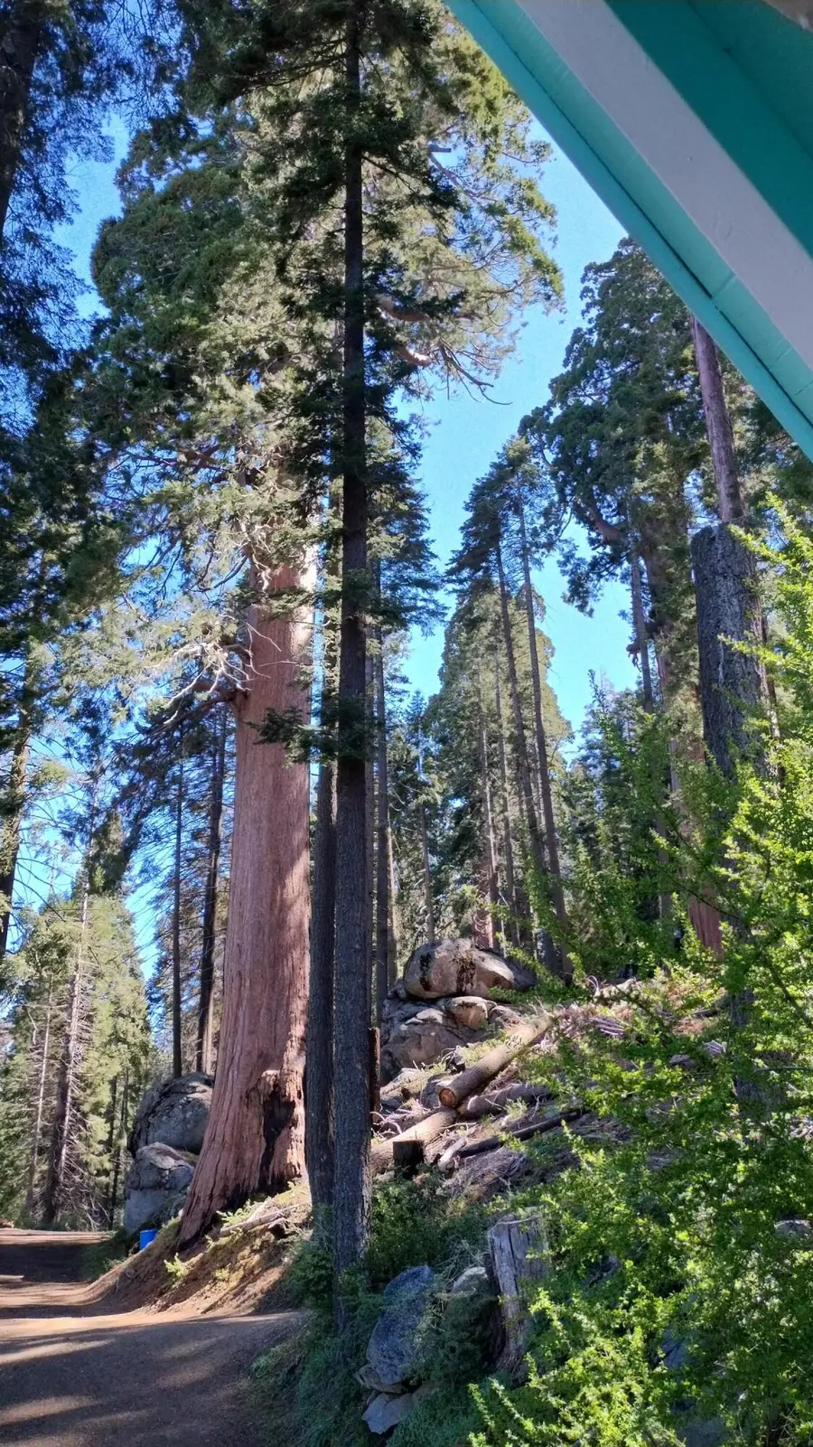 54622 Manzanita Drive, Sequoia Crest, CA 93265 - #3