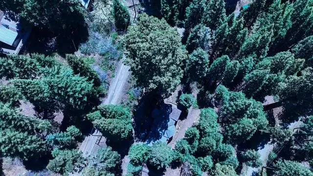 54838 Ponderosa Drive, Springville, CA 93265 - #3