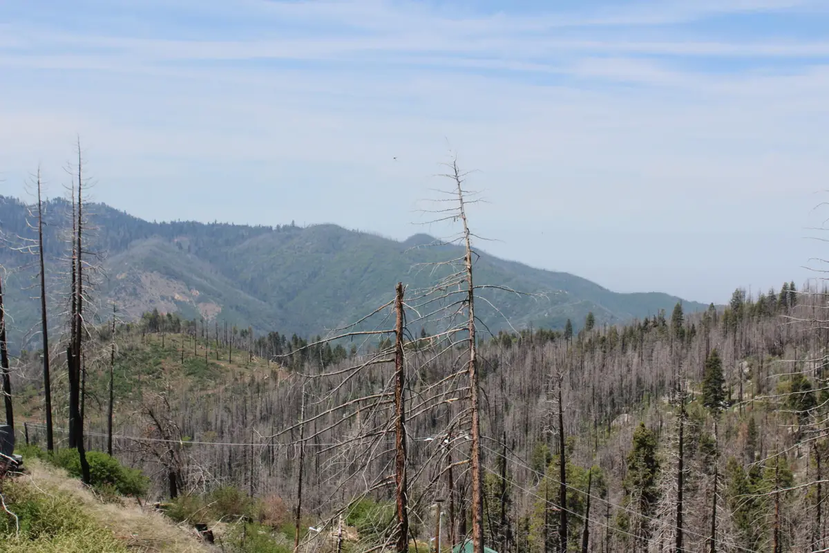 53184 Pine View Drive, Springville, CA 93265 - #1