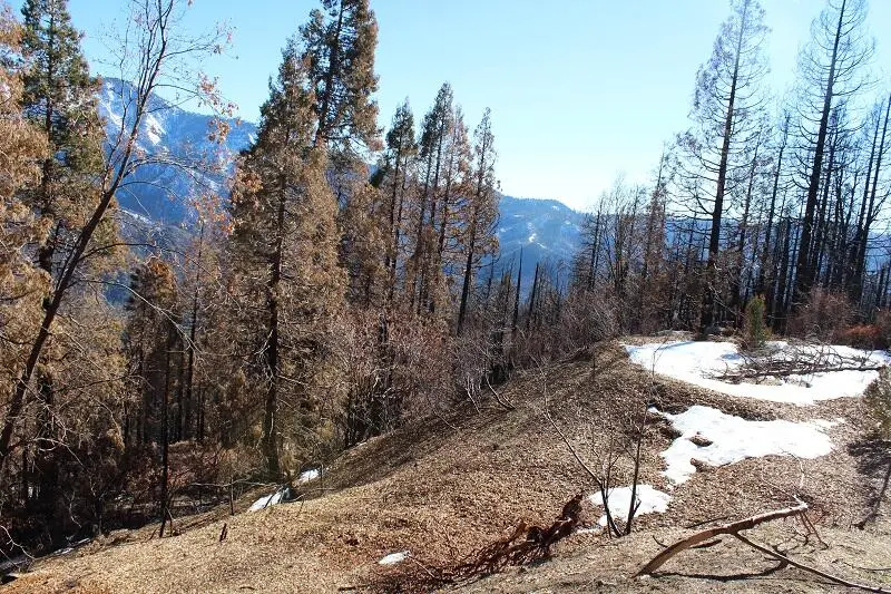 0 Redwood Drive, Springville, CA 93265 - #1