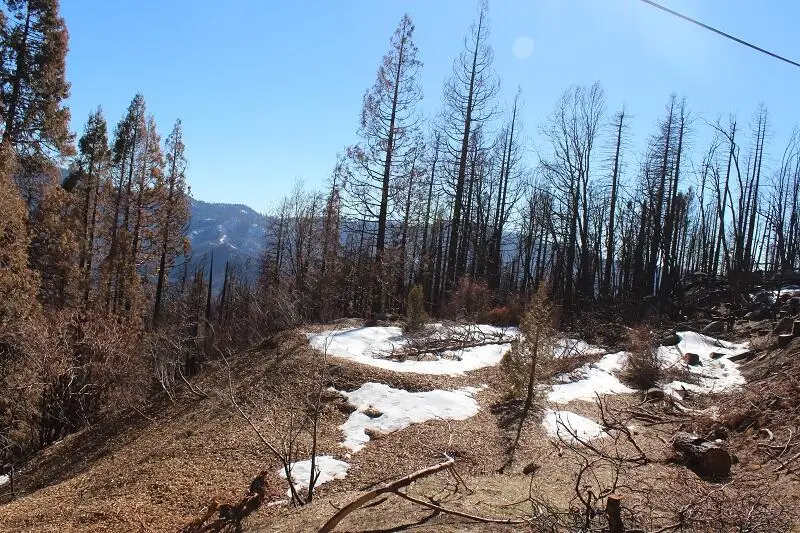 0 Redwood Drive, Springville, CA 93265 - #2