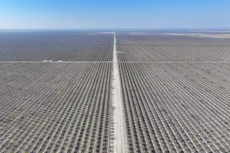 0 Hwy 43, Earlimart, CA 93219 - #3