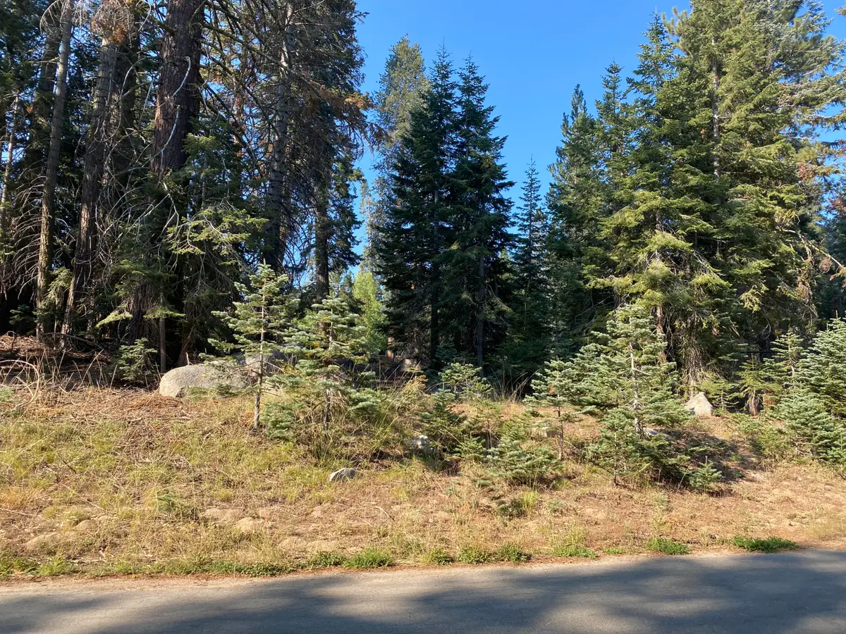 57594 Silver Tip Drive, Springville, CA 93265 - #1