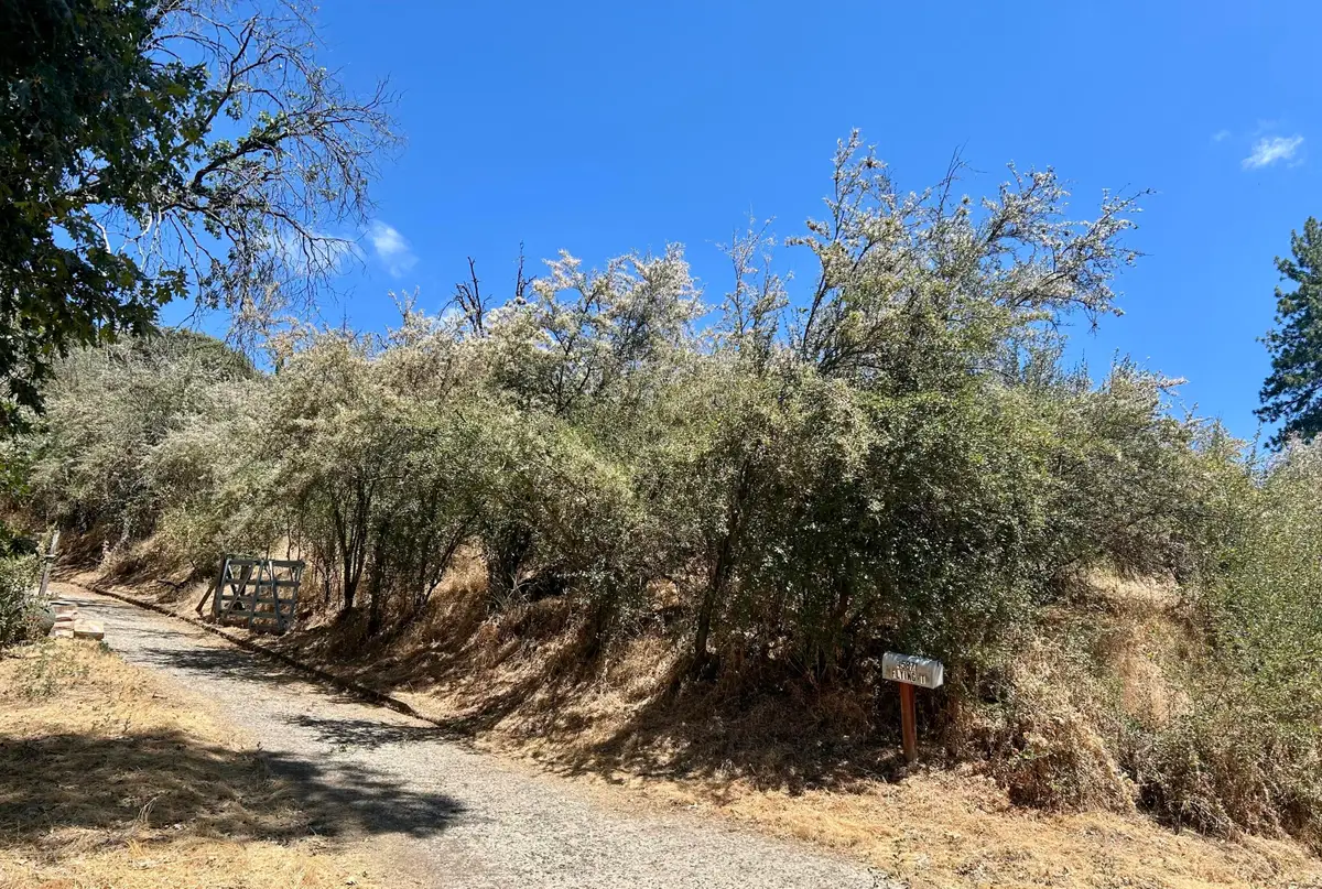 52 Flying T Drive, California Hot Springs, CA 93207 - #1