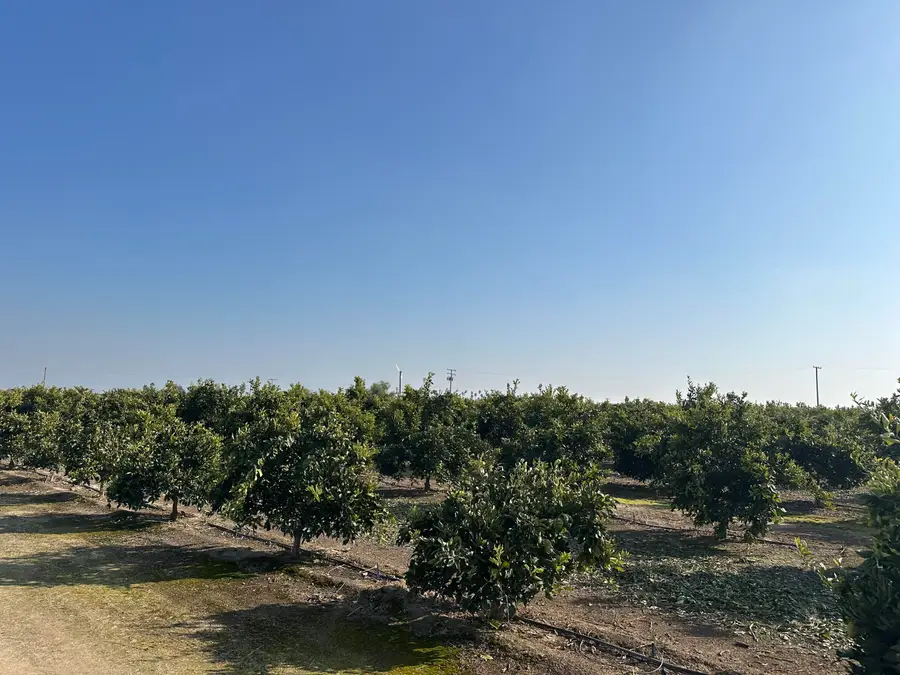 Highway 65 Citrus Ranch Highway, Ducor, CA 93218 - #2