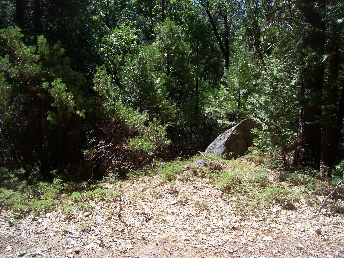 Highway 190, Cedar Slope, CA 93265 - #1