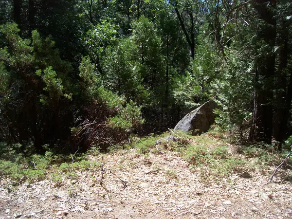Highway 190, Cedar Slope, CA 93265