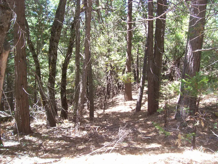 Highway 190, Cedar Slope, CA 93265 - #2