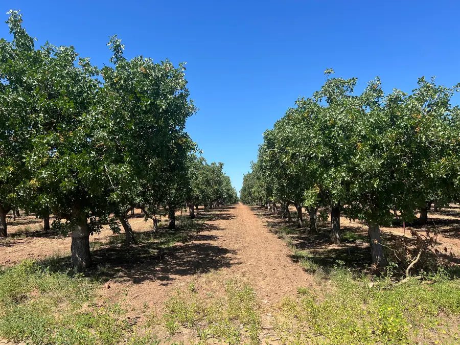 Avenue 20 1/2, Madera, CA 93638 - #3