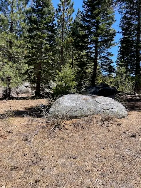 58303 Carter Drive, Ponderosa, CA 93265 - #1
