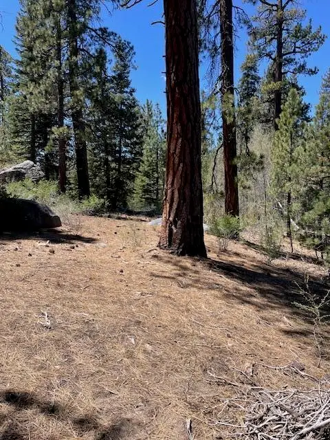 58303 Carter Drive, Ponderosa, CA 93265 - #2