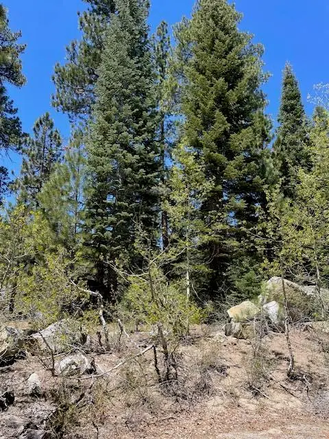58303 Carter Drive, Ponderosa, CA 93265 - #3