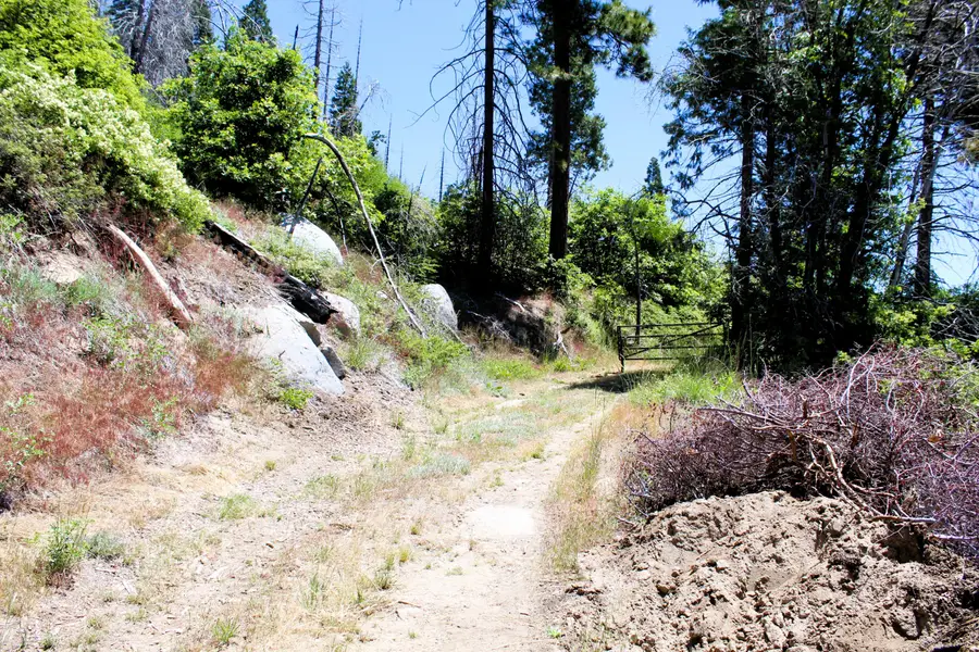 Redwood Dr, Springville, CA 93265 - #2