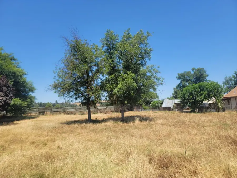 Lots 31&32 Hall Avenue, Lindsay, CA 93247 - #3