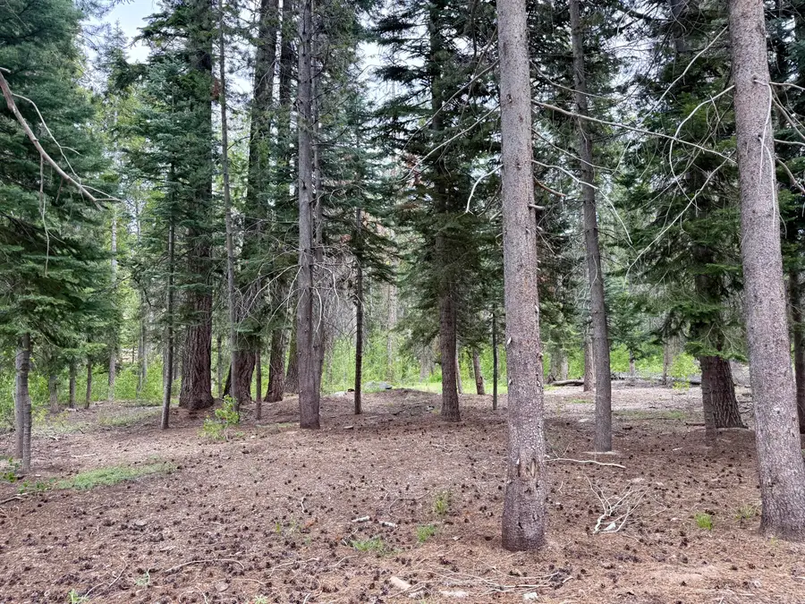 Ponderosa Drive, Springville, CA 93265 - #2