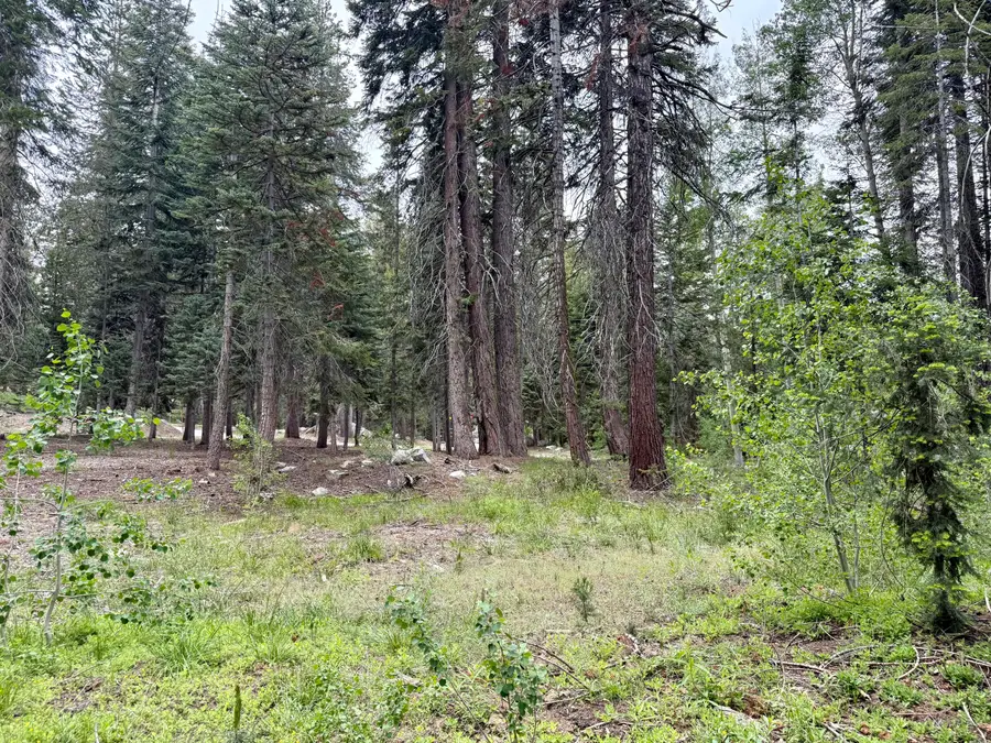 Ponderosa Drive, Springville, CA 93265 - #3