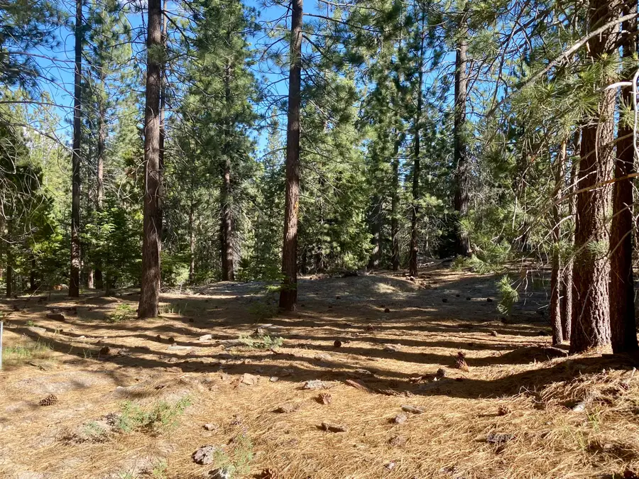 57600 Crest Drive, Springville, CA 93265 - #2