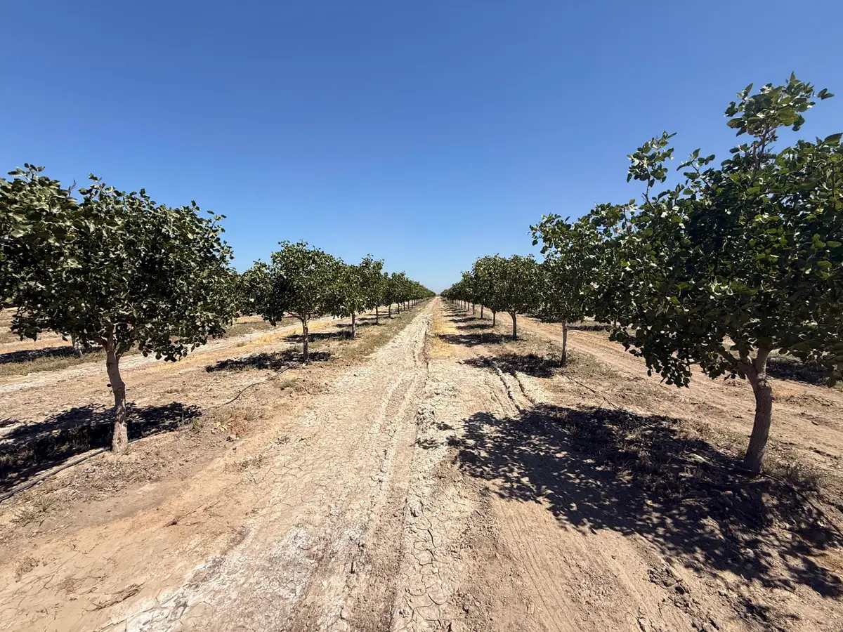 0 Road 30, Alpaugh, CA 93201 - #1