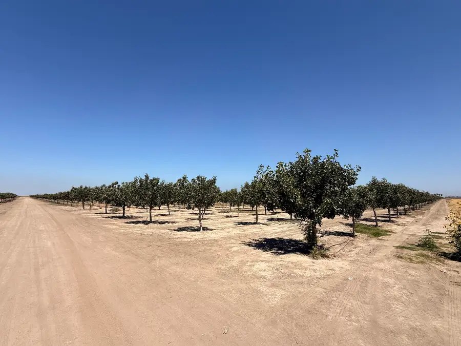 0 Road 30, Alpaugh, CA 93201 - #2