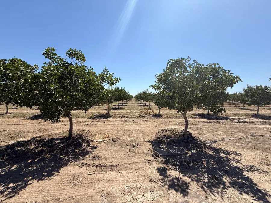 0 Road 30, Alpaugh, CA 93201 - #3