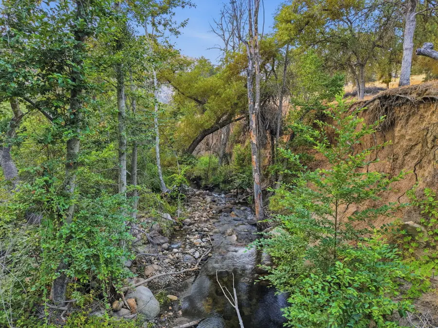 Redbud Trail, Three Rivers, CA 93271 - #3